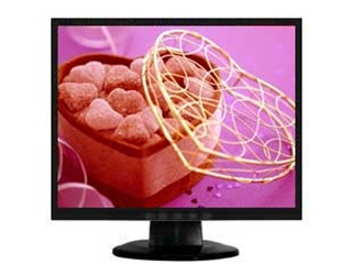 NEC LCD190VX
