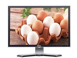 DELL 2407WFP-HC