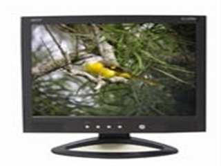 Acer AL1520b