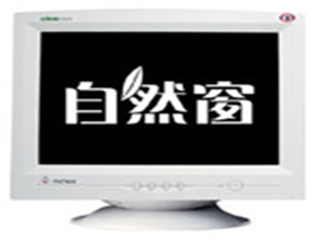 爱国者 775FP