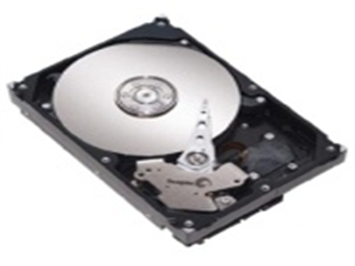 希捷 250G/酷鱼7200.10/8M/SATAII/盒(ST3250310AS)