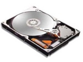 Maxtor 1TB/DiamondMax 22/SATA II/32M/散(STM31000340AS)