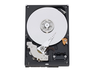 西部数据 250G/7200转/16M/串口(WD2500AAKS)
