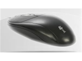 貂王 W-107