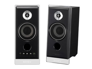 SONY SRS-ZP1000