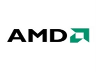 AMD M690G