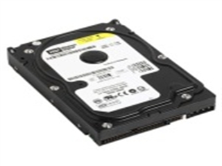 西部数据 320G/RE/8M（WD3200SB）