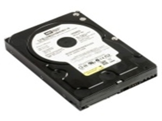 西部数据 400G/RE2/SATAII/16M（WD4000YS）