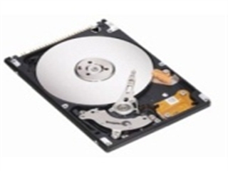 希捷 80G/EE25/8M/IDE(ST980817AM)