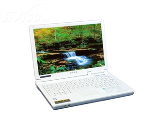 神舟 优雅Q310N