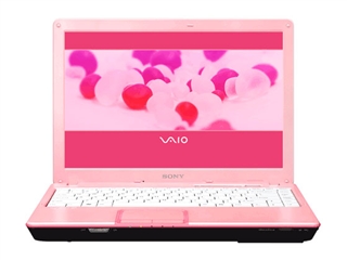 SONY VGN-C22CH/P
