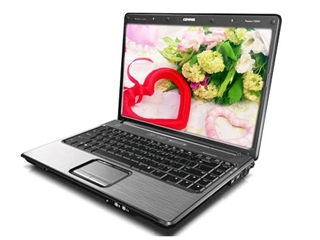 惠普 Compaq Presario V3652TU(GZ336PA)