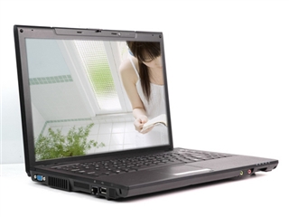 神舟 优雅HP800