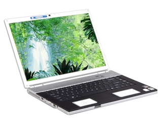SONY VGN-FZ35