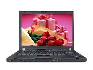 ThinkPad T61 7663MJ3