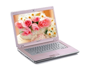 SONY VGN-CR33/P