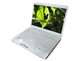 东芝 Satellite M307