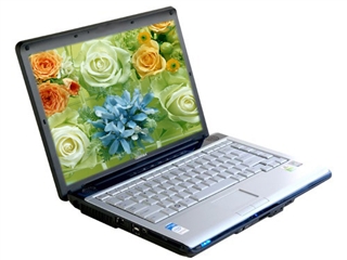 东芝 Satellite M215(玛瑙蓝)