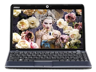 MSI Wind U210-010
