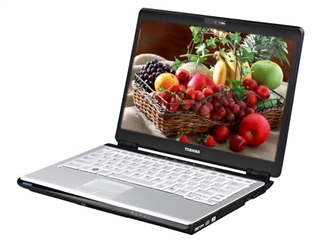 东芝 Portege M606(玛瑙蓝)