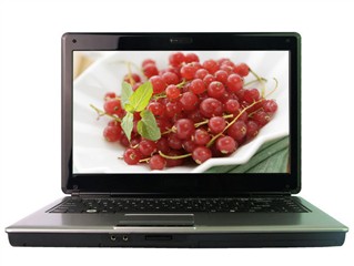 神舟 优雅A450-T4400