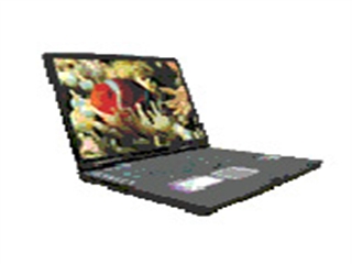 清华紫光 T810D