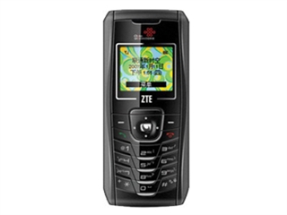 中兴 C300