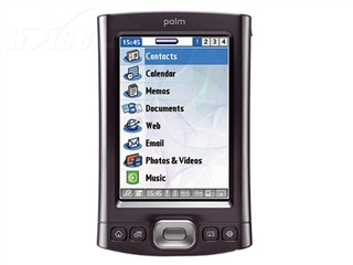 Palm TX