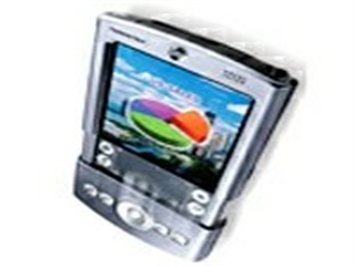 Palm Tungsten T