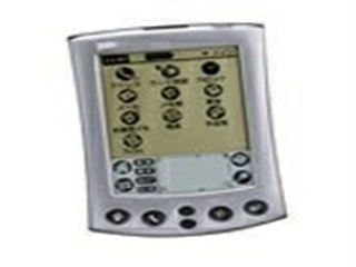 Palm M500
