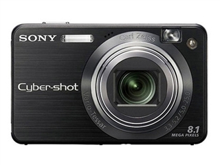 SONY W130