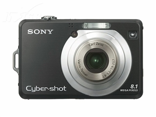 SONY W100
