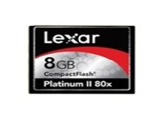 雷克沙 Platinum II CF(8GB/80x)
