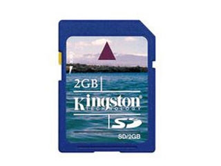 Kingston SD (2GB)