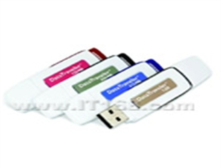Kingston DataTraveler(2GB)