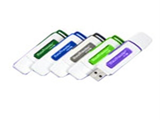 Kingston DataTraveler(4GB)
