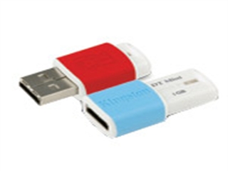 Kingston DataTraveler Mini Migo Edition(1GB)