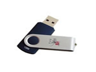 清华普天 银狐(2GB)