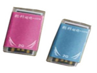 朗科 梦幻天使限量版U310(4GB)