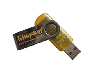 Kingston DataTraveler 101(4GB)
