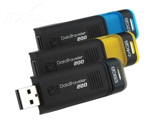 Kingston DataTraveler 200(64GB)
