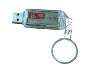 易存 闪耀(2GB)