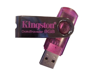 Kingston DataTraveler 101(8GB)