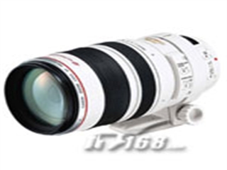 佳能 EF100-400mm f/4.5-5.6L IS USM