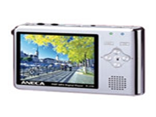 安耐克 P-170(1G)