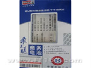 飞毛腿 锂离子电池(SWL-A1000AH)