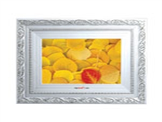 raysun RS-DPF908