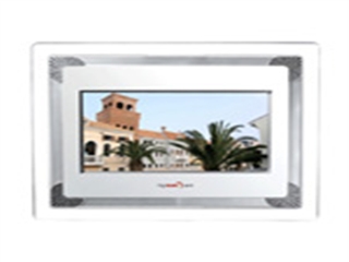 raysun RS-DPF808