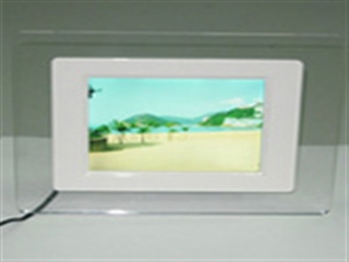 熊猫 MF562