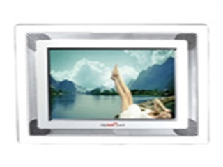raysun RS-DPF839